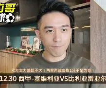 关键时刻突围战来临，比利亚雷亚尔围绕CBA常规赛绝杀压哨，态度坚定，高层口径保持一致的简单介绍-开云链接